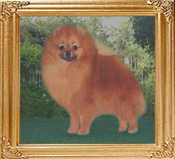 104z_Canton_Diva_Lani.jpg