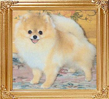 17392z_Avalons_Prince_Matchabelli_Ch.jpg