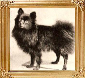 21031y_Ch._Black_Boy_-_born_1890.jpg