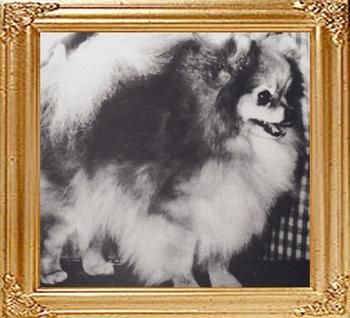 37004z_Maykens_Lucky_Cher_Ch.jpg