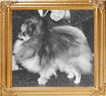Bonners_Pendart_Challenge_Ch_33046.jpg