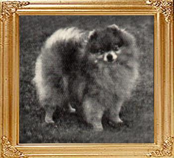 Bonny_Ideal_9099.jpg