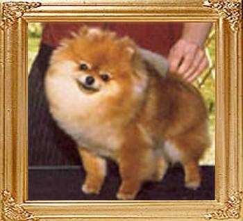 CR_Classic_Attitude_Ch_10060.jpg