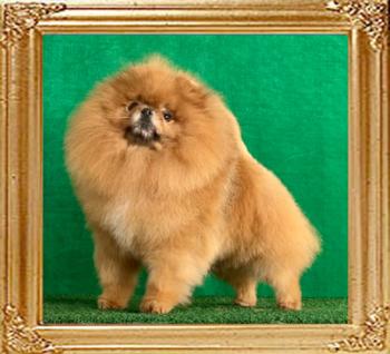 Canton_Baron_Clifford_5_years_7020.jpg