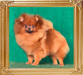 Canton_Berry_Harvey_13_mos.jpg