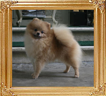 Canton_Bortei_4.06lbs_1yr_6396_0.jpg