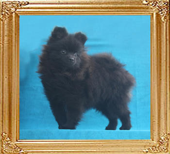 Canton_Bradley_P6-6_4.3lbs_6mo_1wk_117.jpg