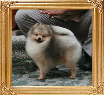 Canton_Bruce_Lee_8mo_47628.jpg