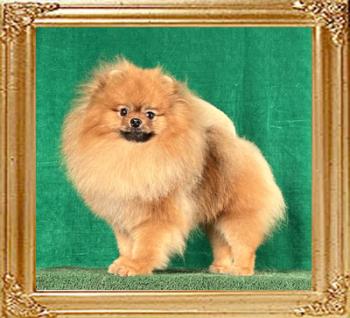 Canton_Dream_Warrior_1yr_9mos_0724.jpg