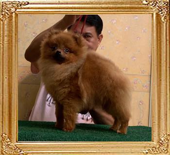 Canton_Fabian_Harvey_8mos_6258.jpg