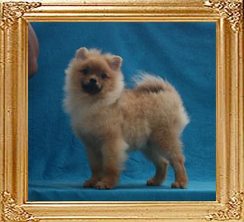 4lbs at 4months 3weeks Canton_Geneva_Davida_4lbs_at_4mo_3wk_P6-5_5799.jpg