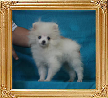 Canton_Just_Super_198lbs_3mo_3wk_P6-6_0862.jpg