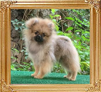 Canton_Loving_Hercules_5788.jpg