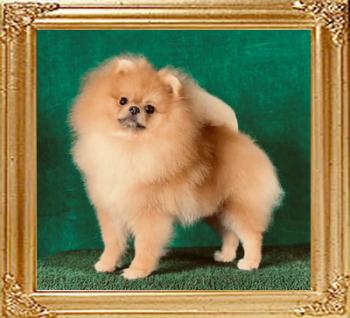 Canton_Maximillian_1yr_2mos_2643.jpg