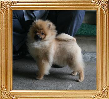 Canton_Paul_Newman___5mo_3.1lbs_1628.jpg