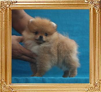 Canton_Selena_Li_1.43lbs_2mo_1wk_P6-6_7432.jpg