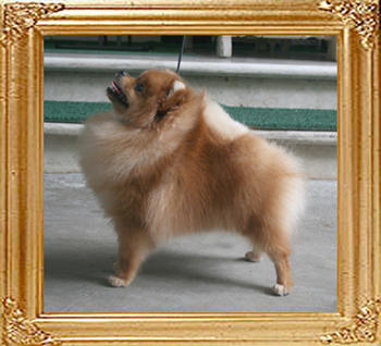 Canton_Selena_Li_3.96lbs_8mo_5507.jpg