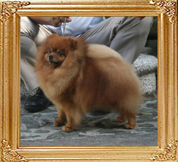 Canton_Sunrise_7.4lbs_6yrs_2772.jpg