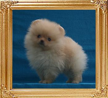 Canton_Taylor_1.1lbs_2mo_2557.jpg