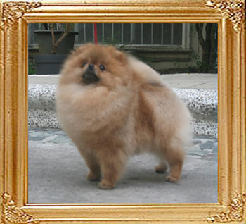 Canton_The_Hero_2yr_1wk_5.28lbs_7328.jpg