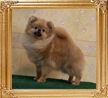 Canton_The_One_6_half_mos.jpg