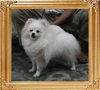 Canton_Theba_Tagila_10mon_3wk_7lbs_7106_.jpg