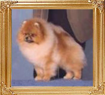 Chikai_The_First_One_I_Love_14079.jpg