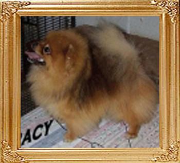 Finchs_Baby_Likes_To_Rockit_10167.jpg