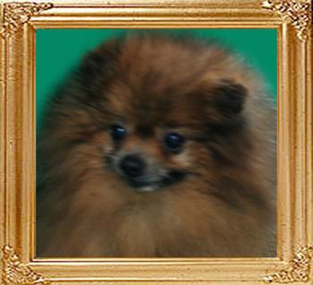 Herold_of_Mei_Tse_Ai_Chuan_Cheng_Jung_Wu.jpg