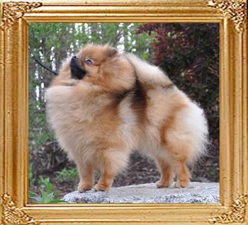 Kartellas_Ella_the_Enchanted.jpg