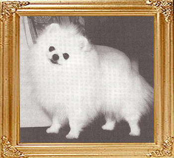 Kim_Karas_Luna_Mystik_36144.jpg