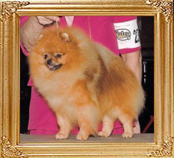 Mountan_Crest_Hard_Rock_-_with_frame.jpg