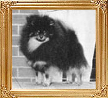 Nolas_Joshua_Fudge_Ch_10448.jpg