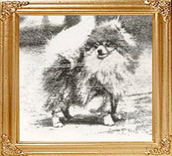 Perivale_Memento_Eng_Ch_9610.jpg