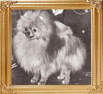 Queenaire_Doodad_Ch_10515.jpg