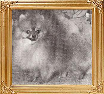 Queenaire_Ive_Got_Legs_Ch_38565.jpg