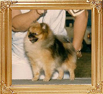Southland_N_BevNor_Nut_E_Fudge_Ch_39712.jpg
