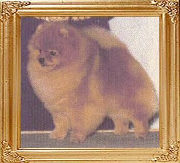 Southlands_Ms_Ruth_of_G.E._Ch_25932.jpg
