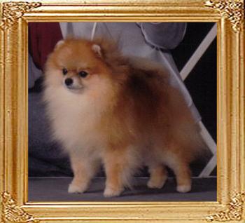 Sweetheart_Gold_Masterpiece_24750.jpg