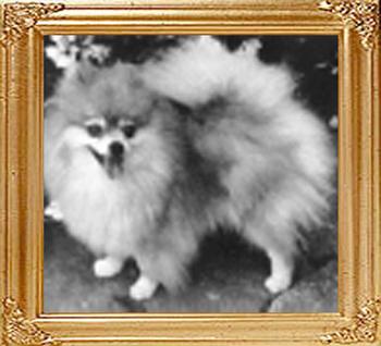 Tim_Sues_Duchess_Sabrina_5706.jpg