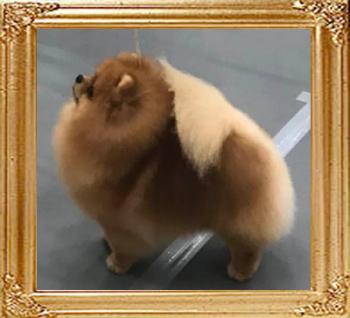 Watson_8754.jpg