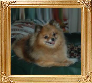 Willies_Lil_Annie_18892.jpg