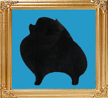 black_8x10.jpg