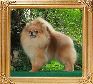 Canton_One_in_a_Million_1yr_3.85lbs.jpg
