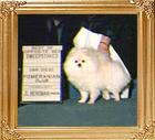 CH_Cantons_White_Fantasy.jpg