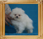 Canton_Keri_Lennon_1.1lbs_2mo_1wk_P6-6_0688.jpg