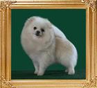 Ph_Ch_Canton_White_Passion.jpg