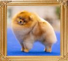 Ph_HOF_JCR_Empire_Lucky.jpg