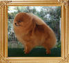 128y_Ch_Canton_Jennifer_Lopez.jpg