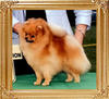 16176x.jpg